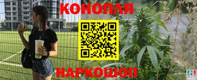 apvp Аргун