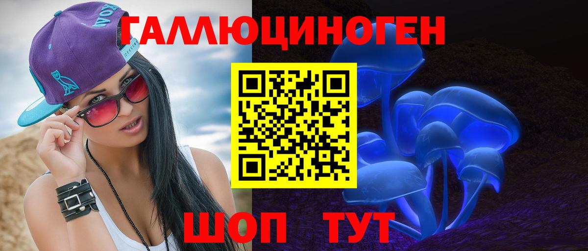 Бугульма  Псилоцибиновые грибы Cubensis  Вход с VPN 